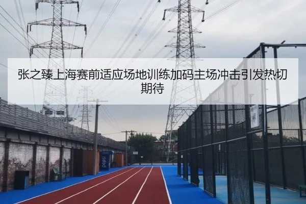 张之臻上海赛前适应场地训练加码主场冲击引发热切期待